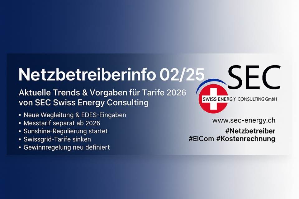 Neue Netzbetreiberinfo ist online: Wegleitung zur Kostenrechnung 2026 publiziert