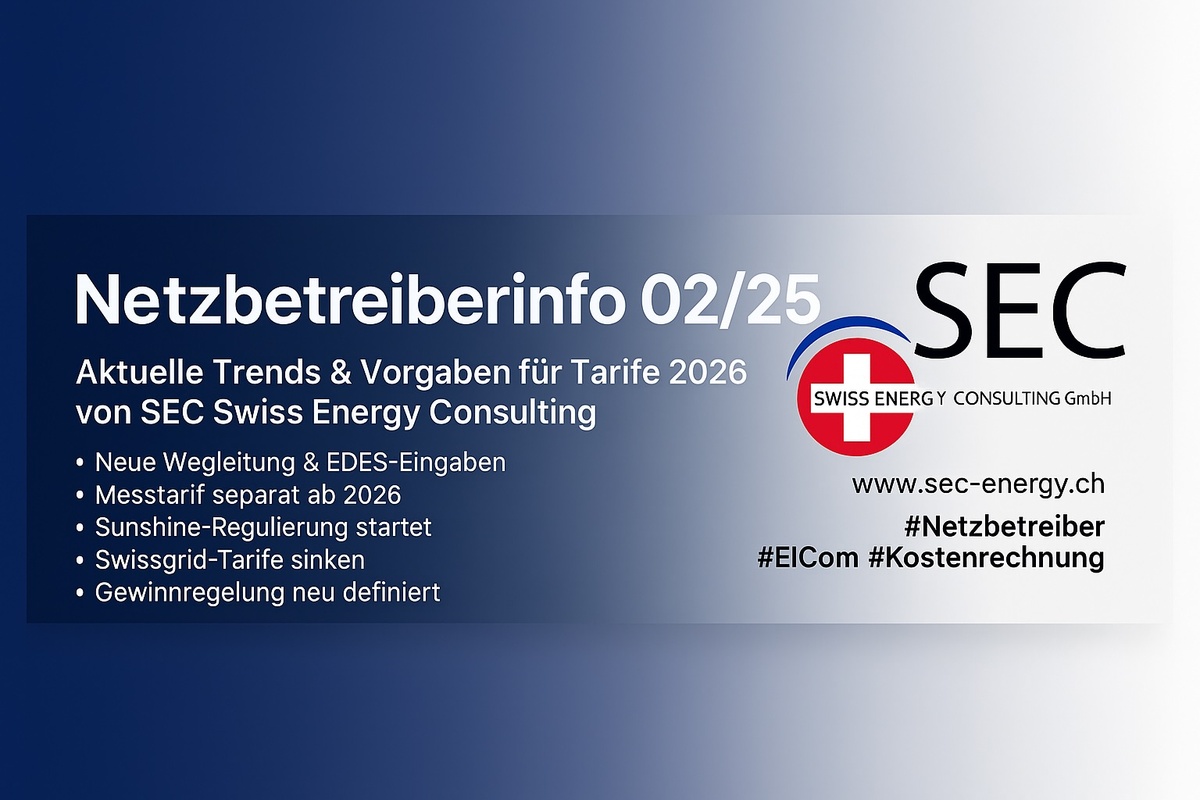Neue Netzbetreiberinfo ist online: Wegleitung zur Kostenrechnung 2026 publiziert